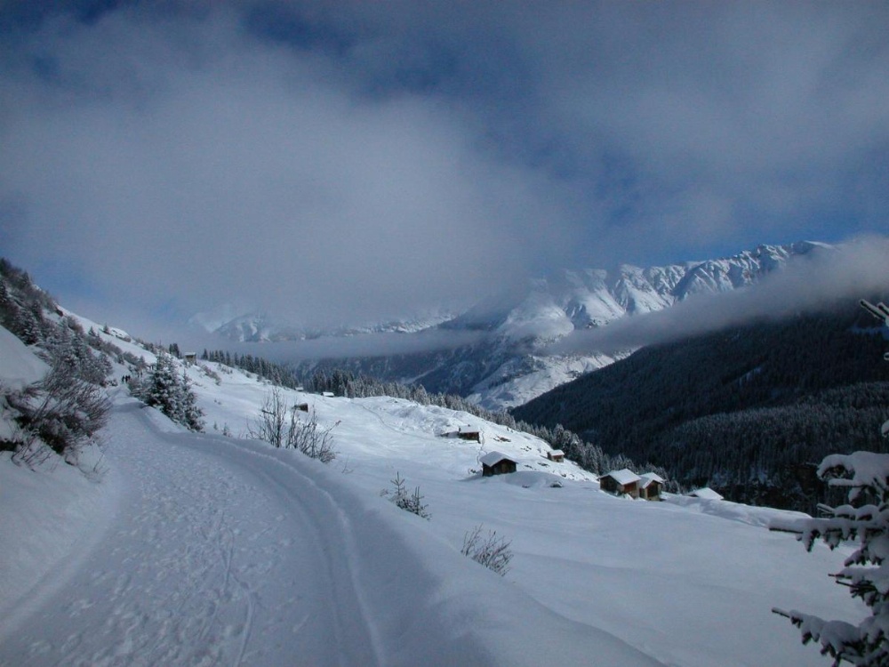 Hotel Alpina Image 25