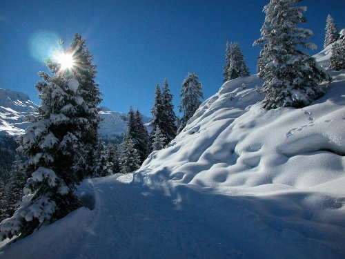 Hotel Alpina image 26